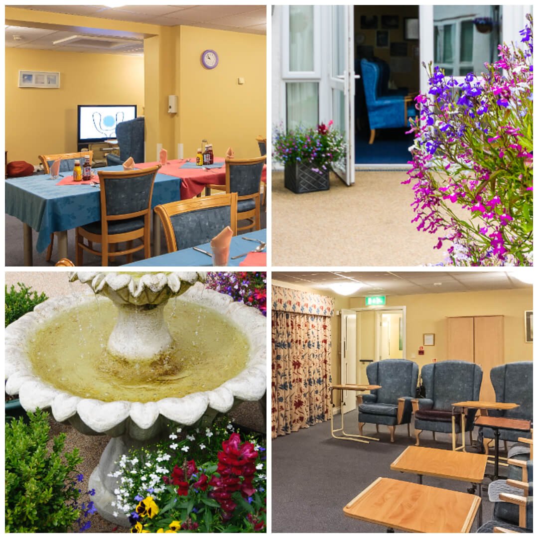 Scenes from Albert House: lounge and garden courtyard
